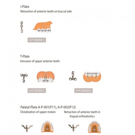 Orthoplate