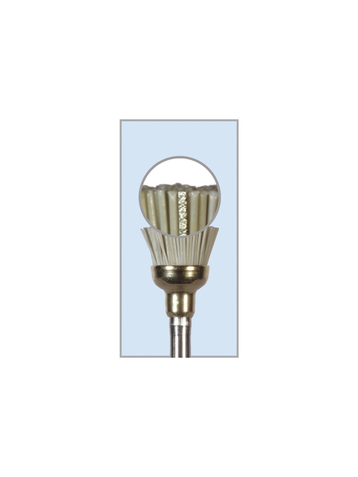 81.P.FRABRUSH6.RA-1