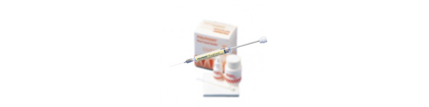 endodonti